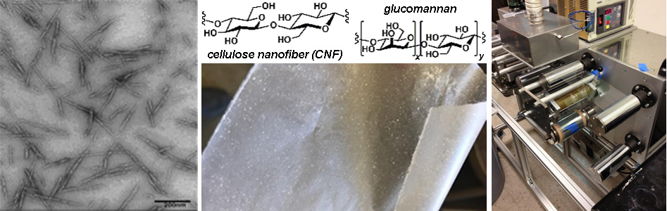 nanoporous membranes